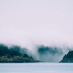 Meet your Posher, Peter